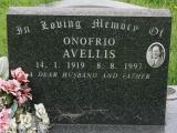 image of grave number 919140